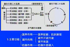 第33讲 气:分类