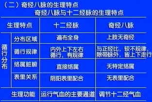 中医基础理论第39讲奇经八脉经络的生理功能经络学说的应用