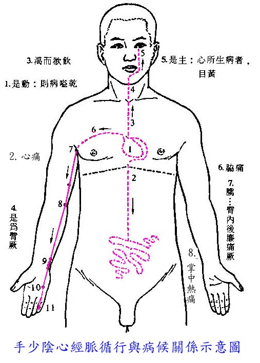 手少阴心经循行图片